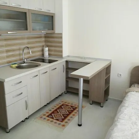 Apartment Metulevi *